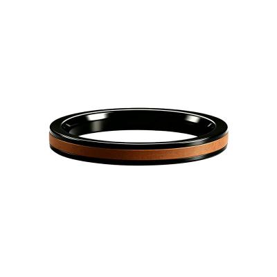 HPGA doppeltwirkende PTFE-Kolbendichtung
